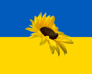 Help Ukraine