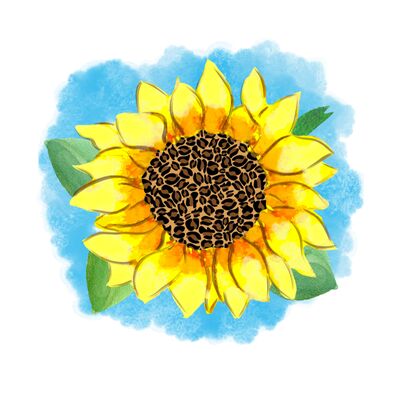 Sunflower Thumbnail